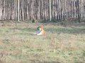 slovensko 31 rijna 09 760.jpg